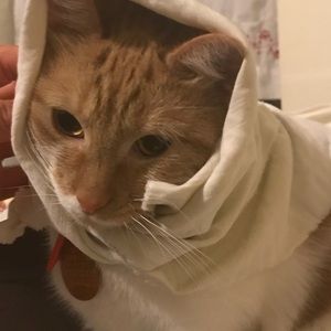 Meet your Posher, Mary